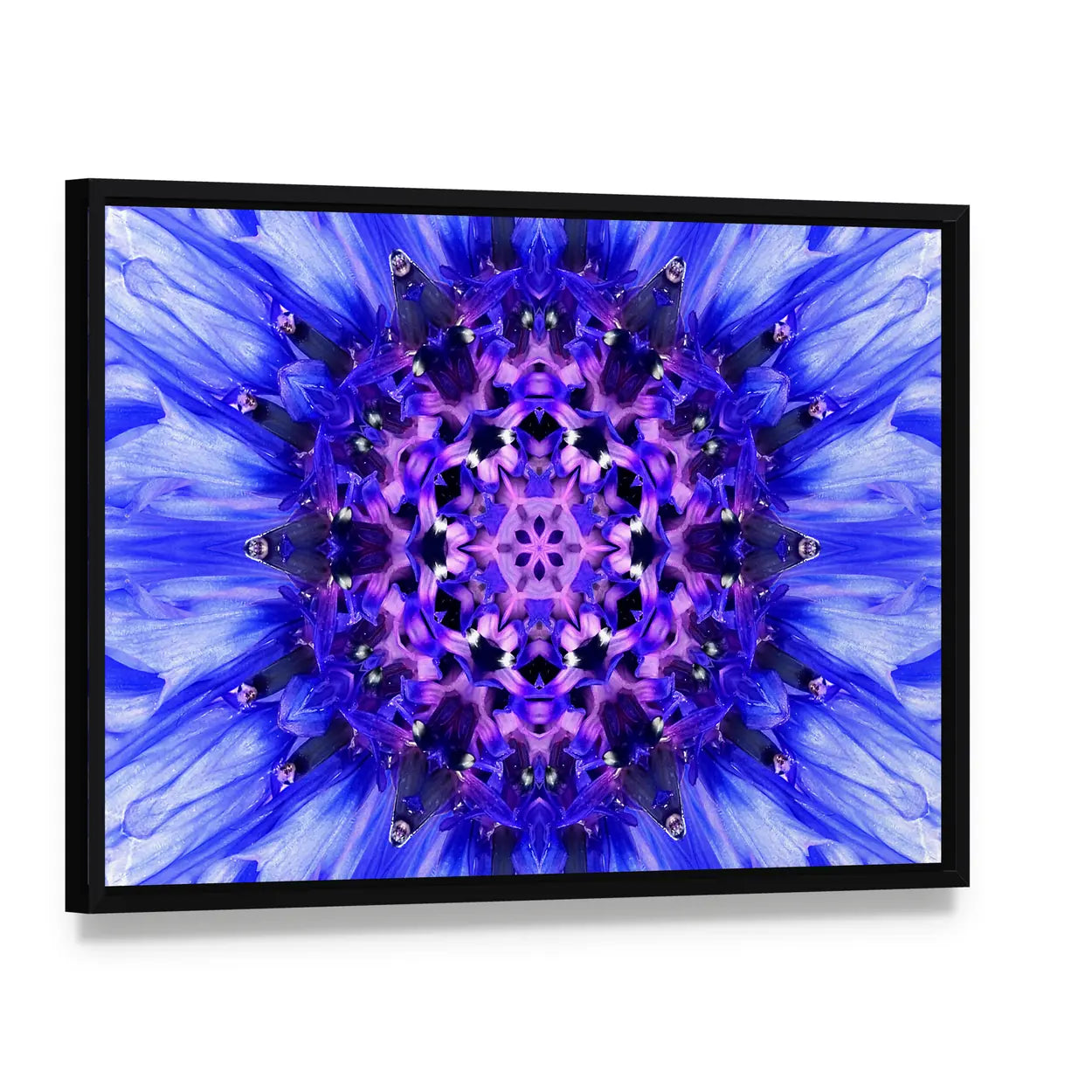 Blue Mandala Flower Canvas Wall Art, framed canvas in a black floater frame, angled product view