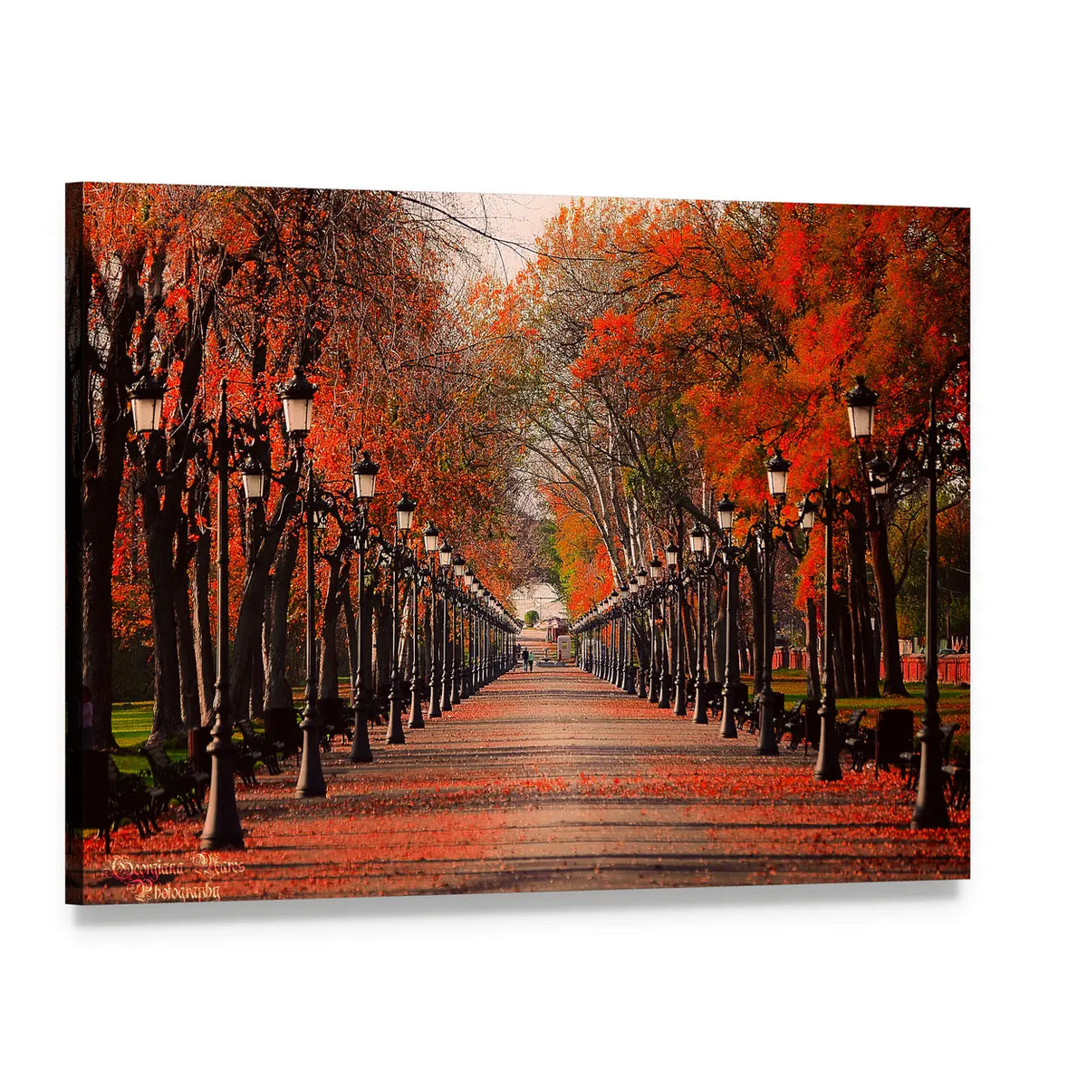 Red Autumn Park Pathway Canvas Wall Art, single panel gallery wrapped canvas, angled product view