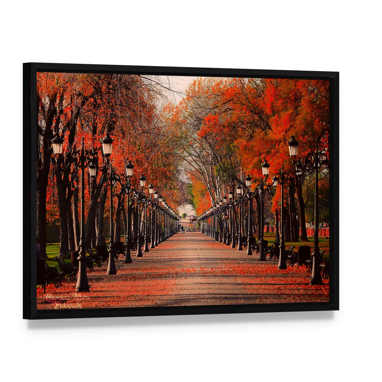 Red Autumn Park Pathway Canvas Wall Art, framed canvas in a black floater frame, angled product view