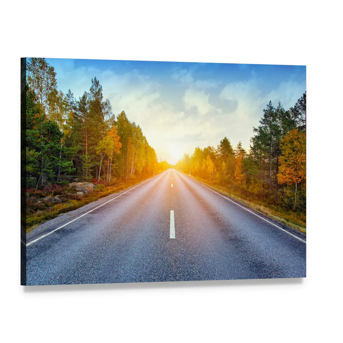 Scenic Road In Sweden Canvas Wall Art, single panel gallery wrapped canvas, angled product view