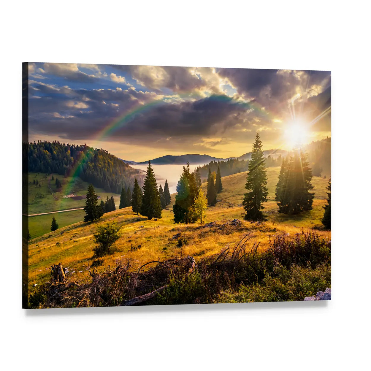 Hillside with Coniferous Forest and Rainbow Canvas Wall Art, single panel gallery wrapped canvas, angled product view