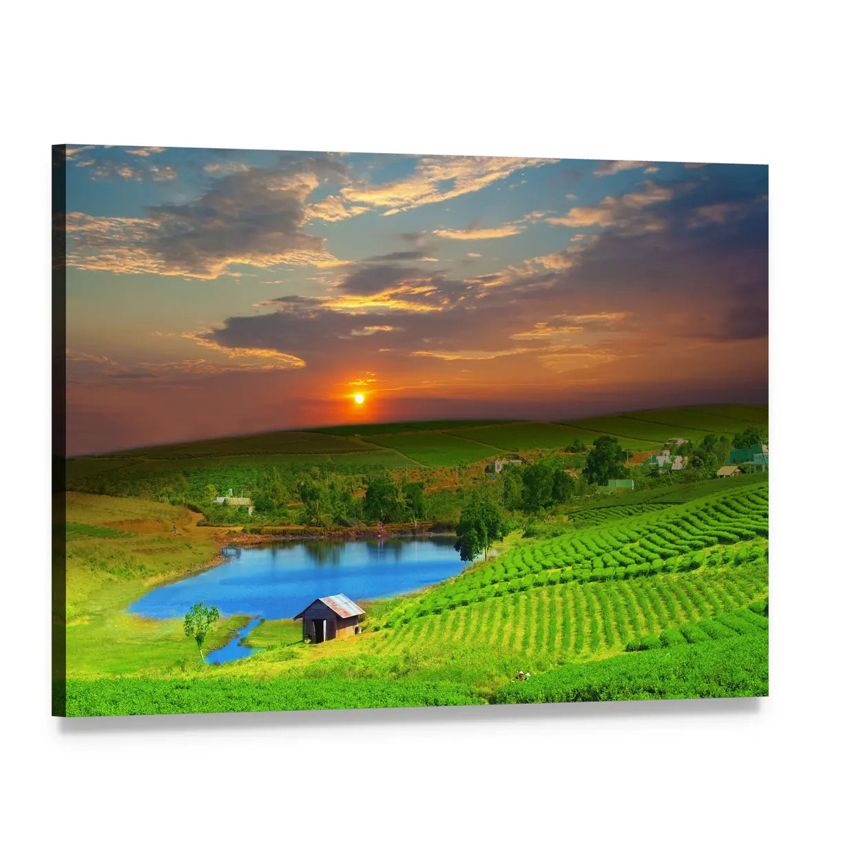 Vietnam Tea Plantation at Sunset Canvas Wall Art, single panel gallery wrapped canvas, angled product view