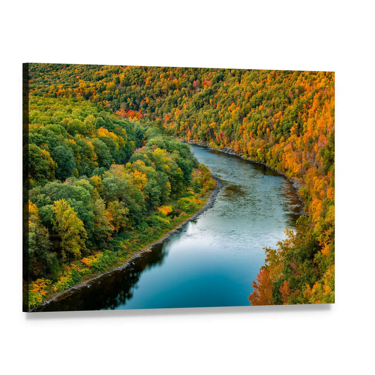 Winding River Through Autumn Forest Canvas Wall Art, single panel gallery wrapped canvas, angled product view