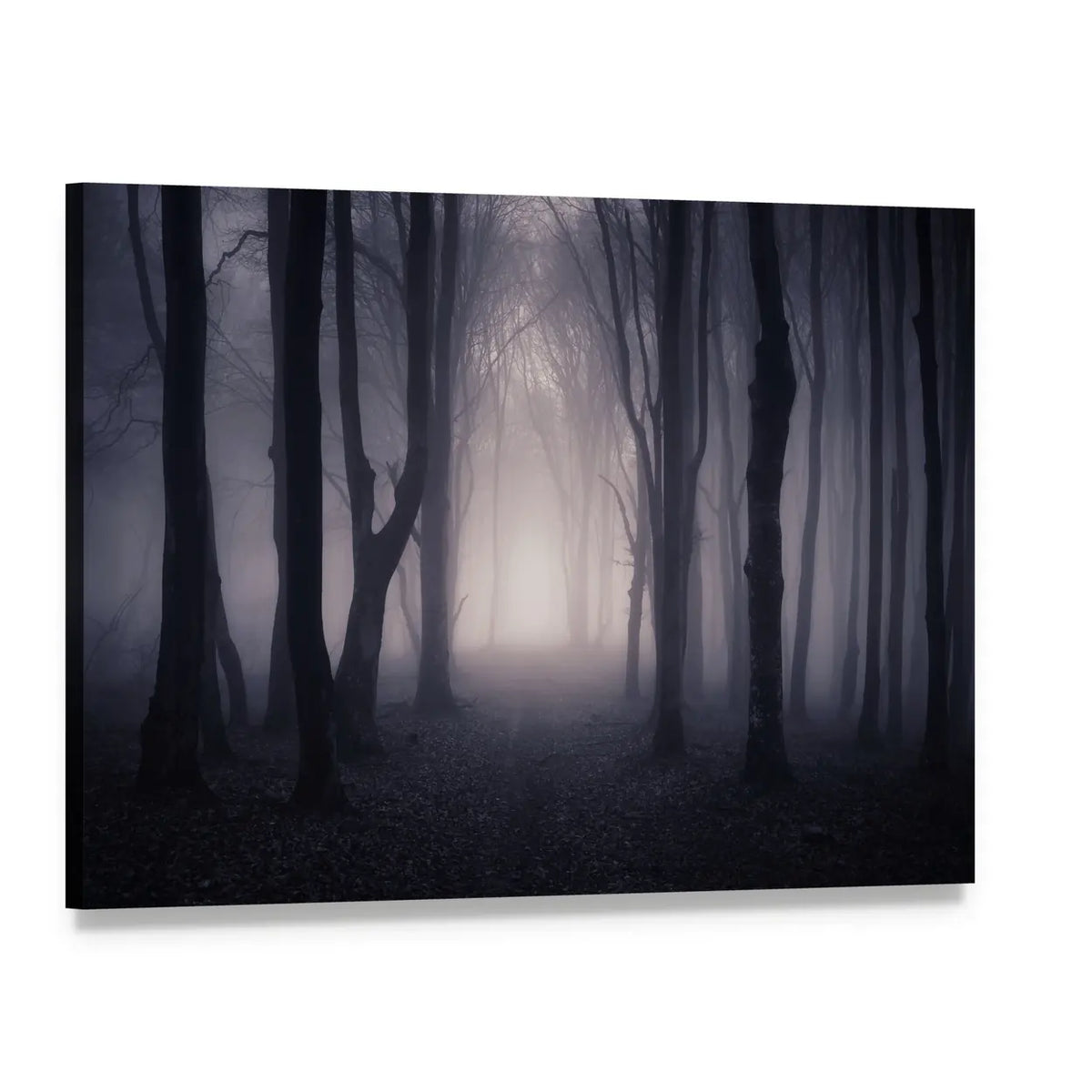 Dark Foggy Forest Path Canvas Wall Art, single panel gallery wrapped canvas, angled product view