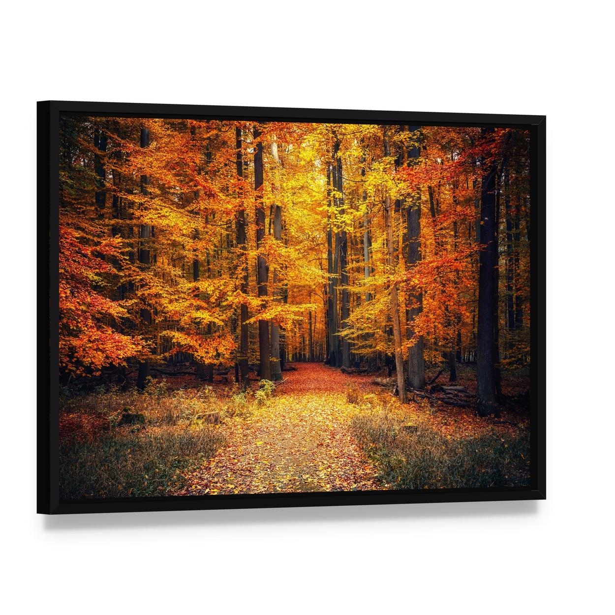 Pathway in the Autumn Park Canvas Wall Art, framed canvas in a black floater frame, angled product view