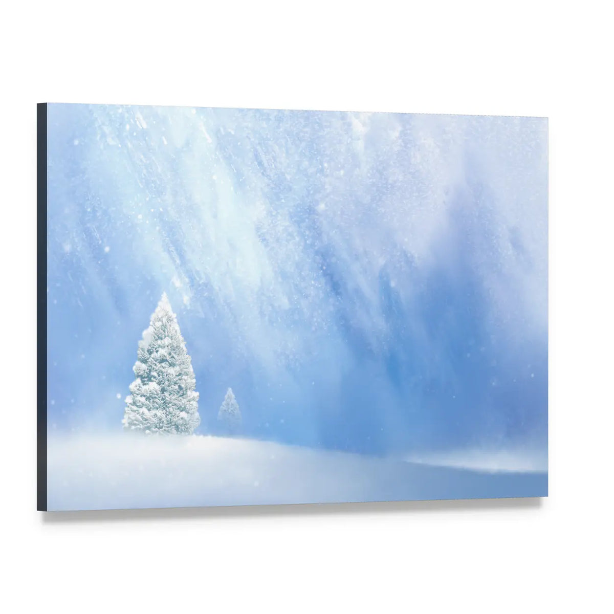 Snow-covered Pines in Soft Winter Light Canvas Wall Art, single panel gallery wrapped canvas, angled product view