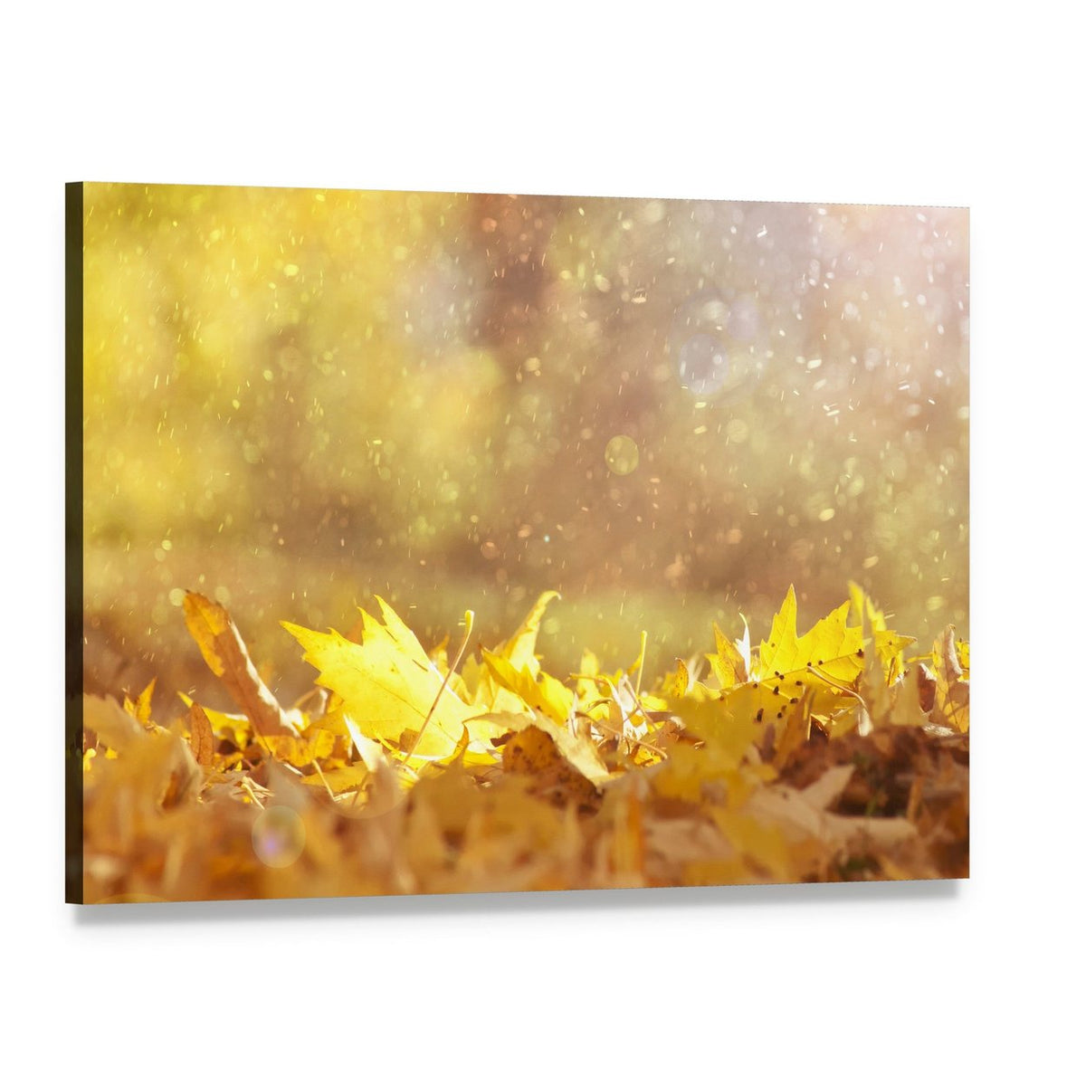 Autumn Leaves & Sunlight Flares Canvas Wall Art, single panel gallery wrapped canvas, angled product view