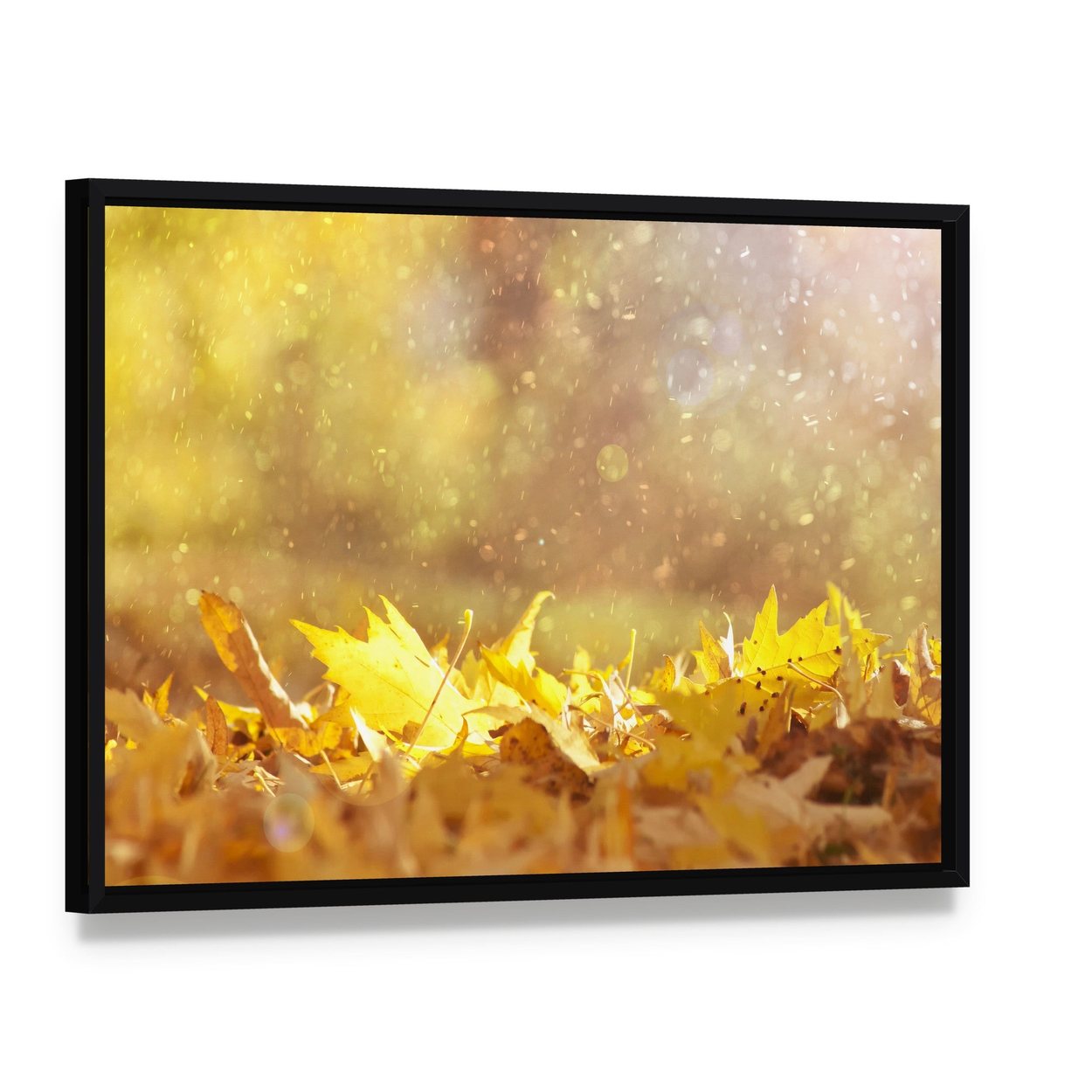 Autumn Leaves & Sunlight Flares Canvas Wall Art, framed canvas in a black floater frame, angled product view