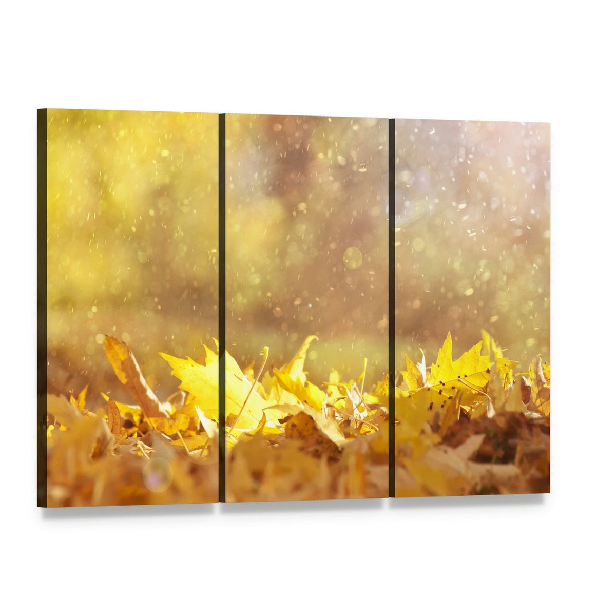 Autumn Leaves & Sunlight Flares Canvas Wall Art, 3 panel 3 Horizontal layout gallery wrapped canvas set, angled product view
