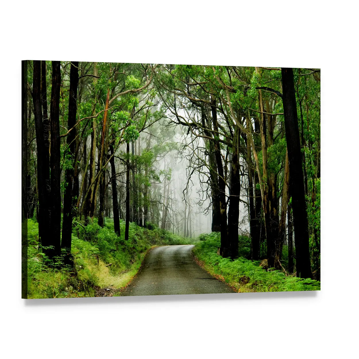 Forest Road With Fog Canvas Wall Art, single panel gallery wrapped canvas, angled product view