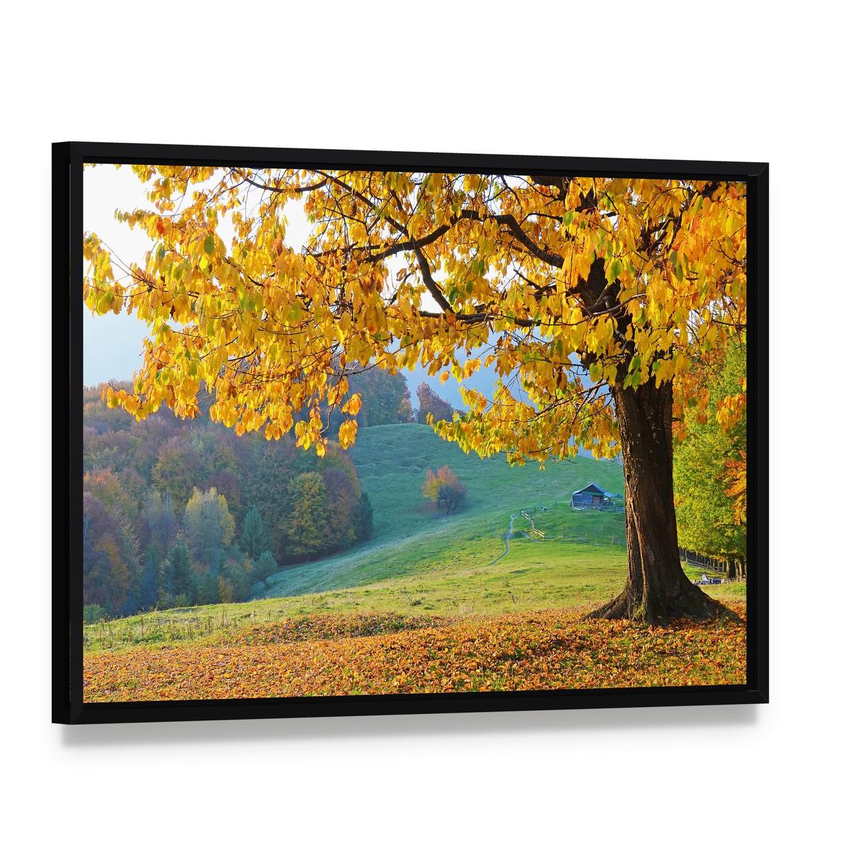 Autumn Trees and Fallen Leaves Canvas Wall Art, framed canvas in a black floater frame, angled product view