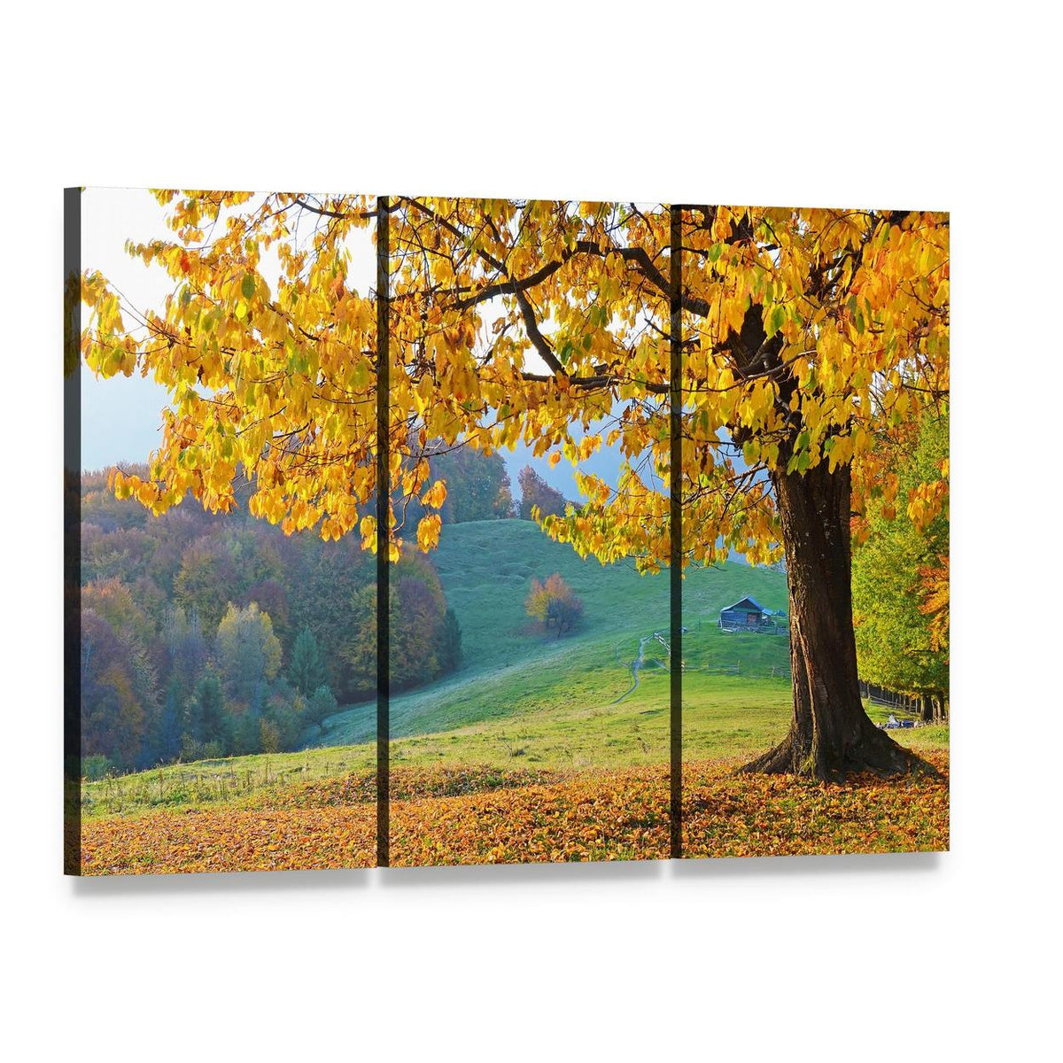 Autumn Trees and Fallen Leaves Canvas Wall Art, 3 panel 3 Horizontal layout gallery wrapped canvas set, angled product view