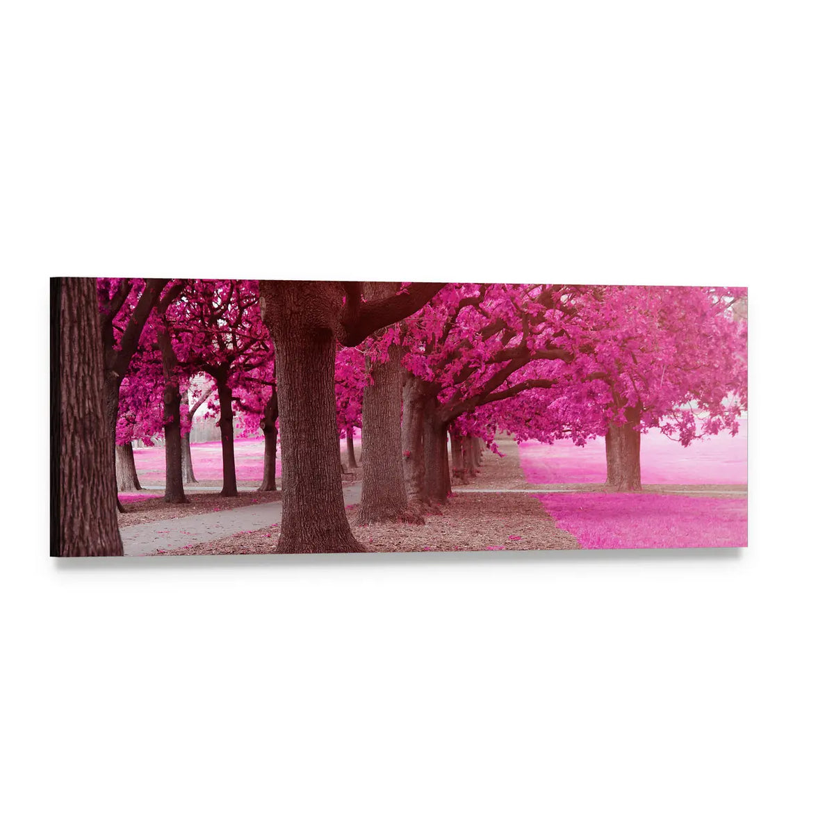 Park Path Through Pink Trees Panoramic Canvas Wall Art, single panel gallery wrapped canvas, angled product view
