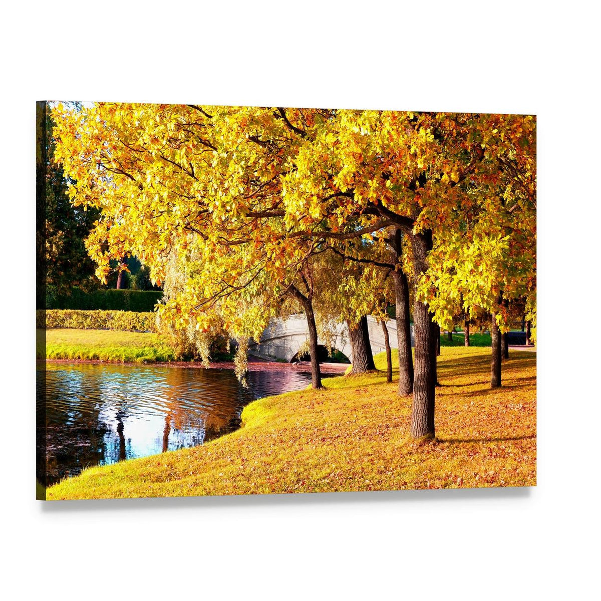 Autumn Forest Park Russia Canvas Wall Art, single panel gallery wrapped canvas, angled product view