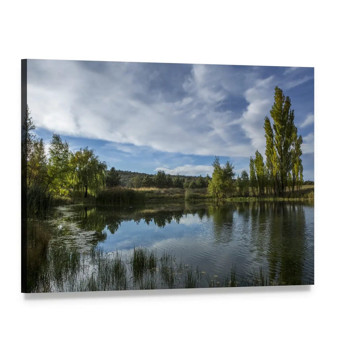 Pond in Arizona Desert Canvas Wall Art, single panel gallery wrapped canvas, angled product view