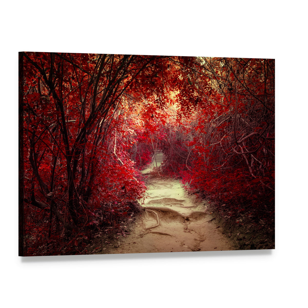 Winding Path Through Tropical Forest Canvas Wall Art, single panel gallery wrapped canvas, angled product view