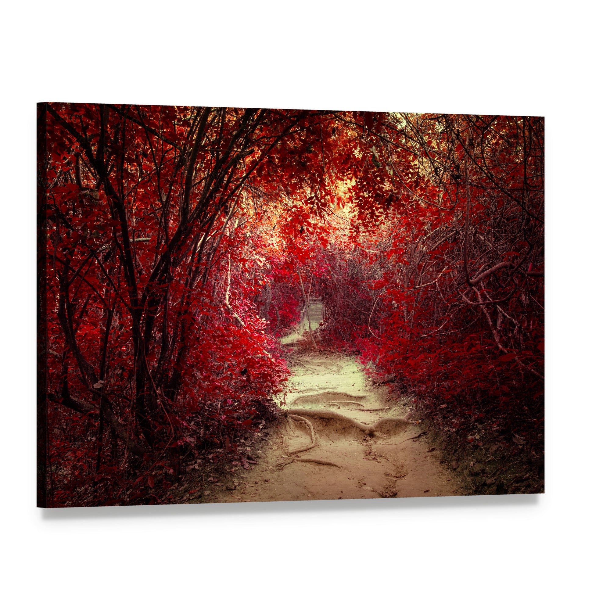Winding Path Through Tropical Forest Canvas Wall Art, single panel gallery wrapped canvas, angled product view