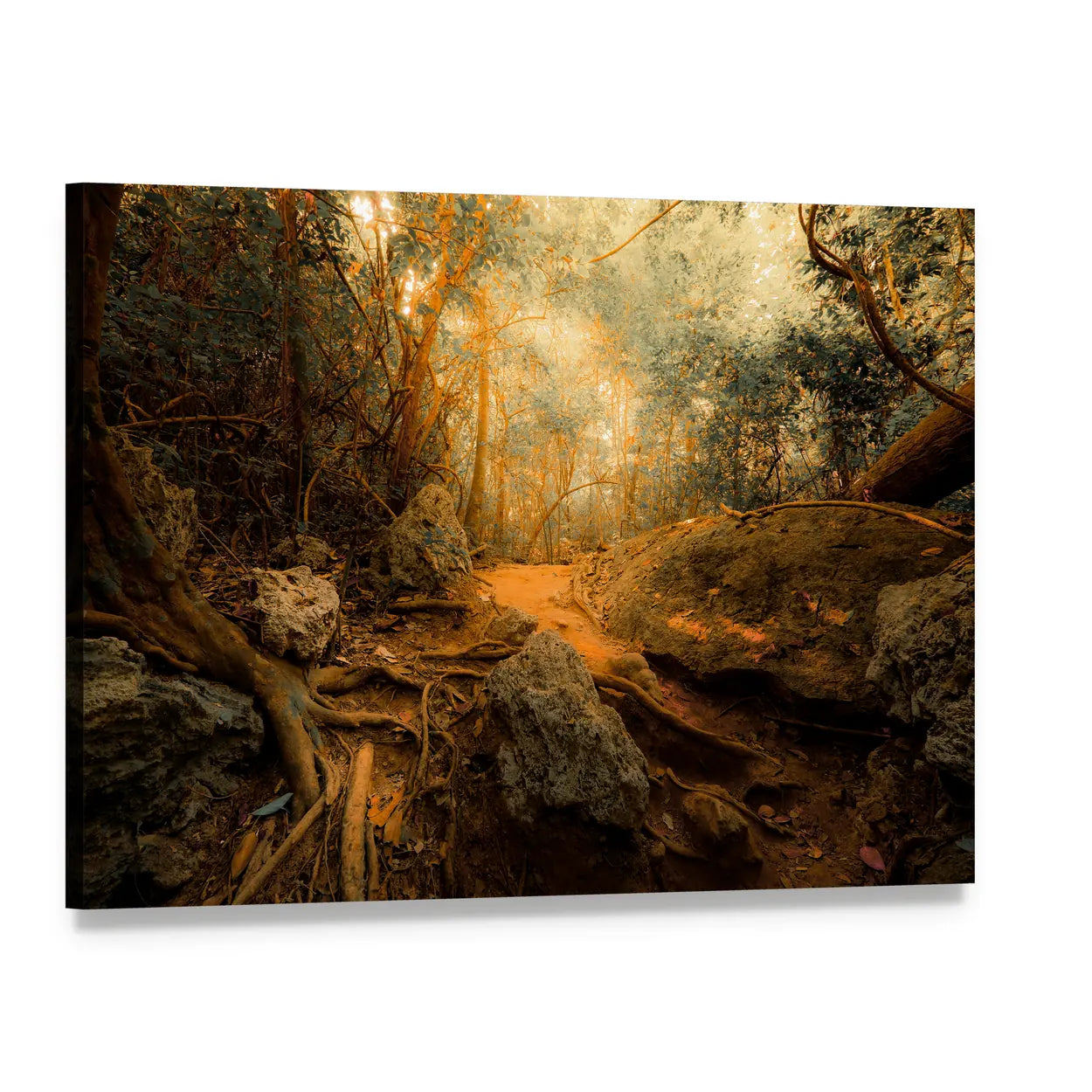 Golden Jungle Forest with Gnarled Roots Canvas Wall Art, single panel gallery wrapped canvas, angled product view