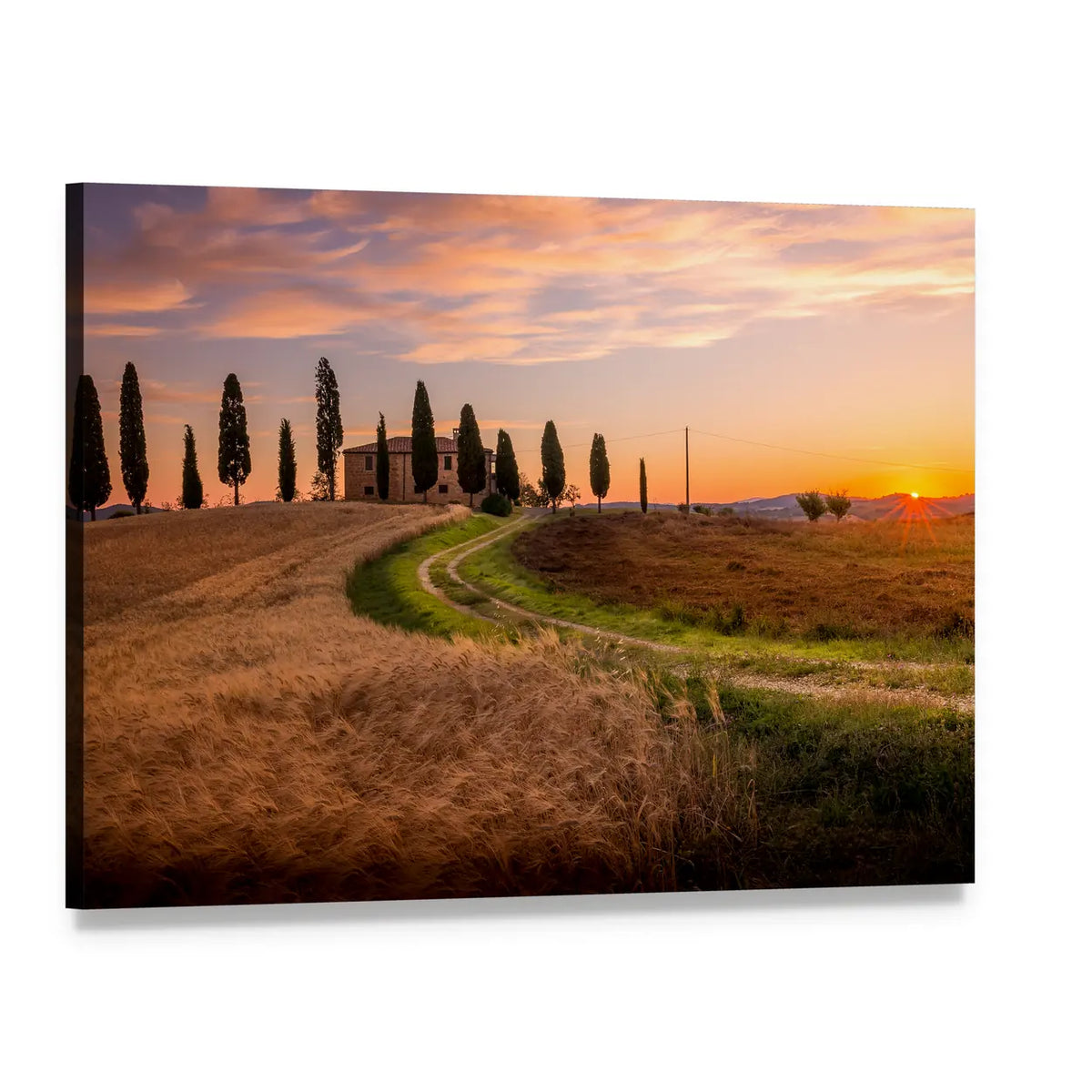 Tuscan Sunrise Over Wheat Field Canvas Wall Art, single panel gallery wrapped canvas, angled product view