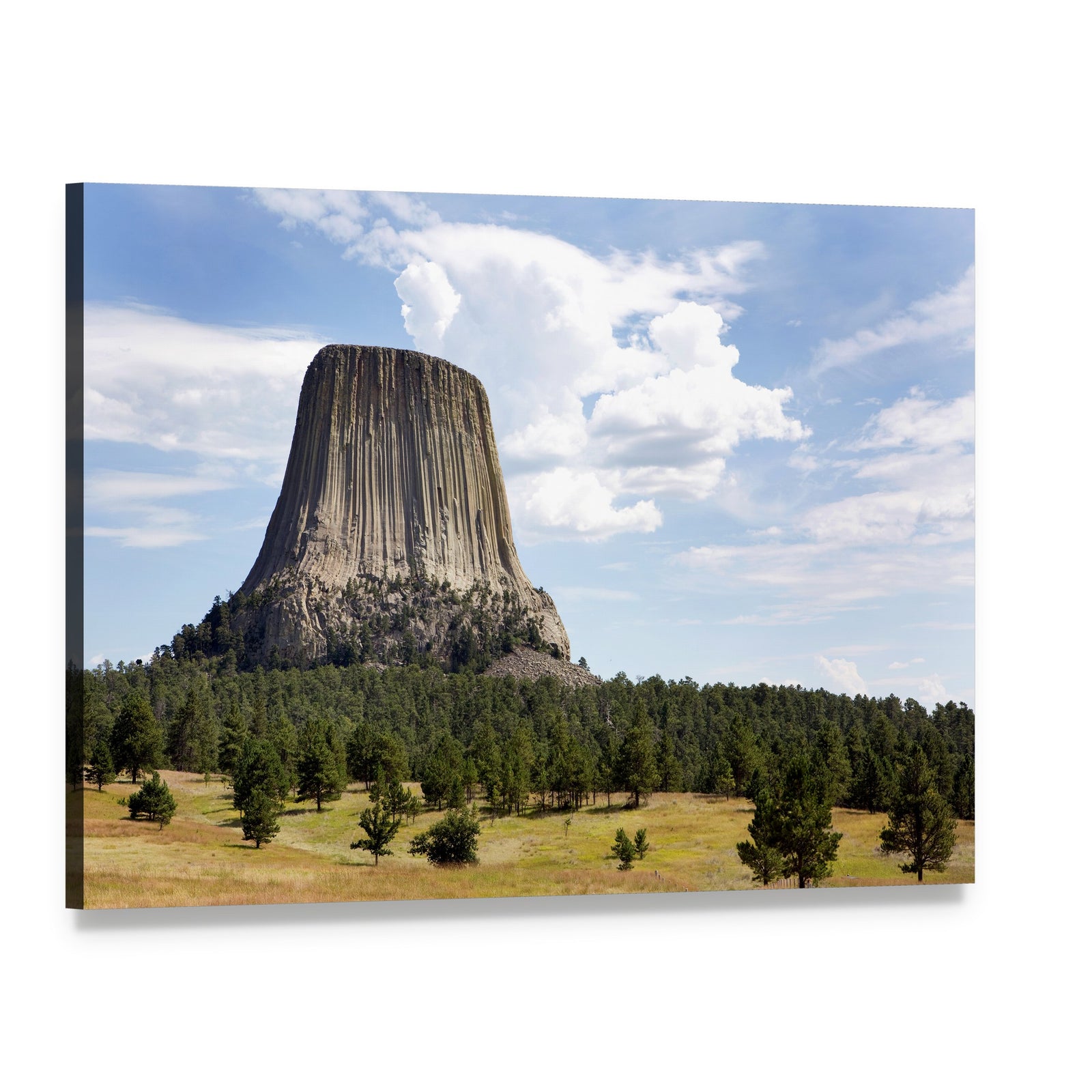 Devils Tower, Wyoming Canvas Wall Art, single panel gallery wrapped canvas, angled product view
