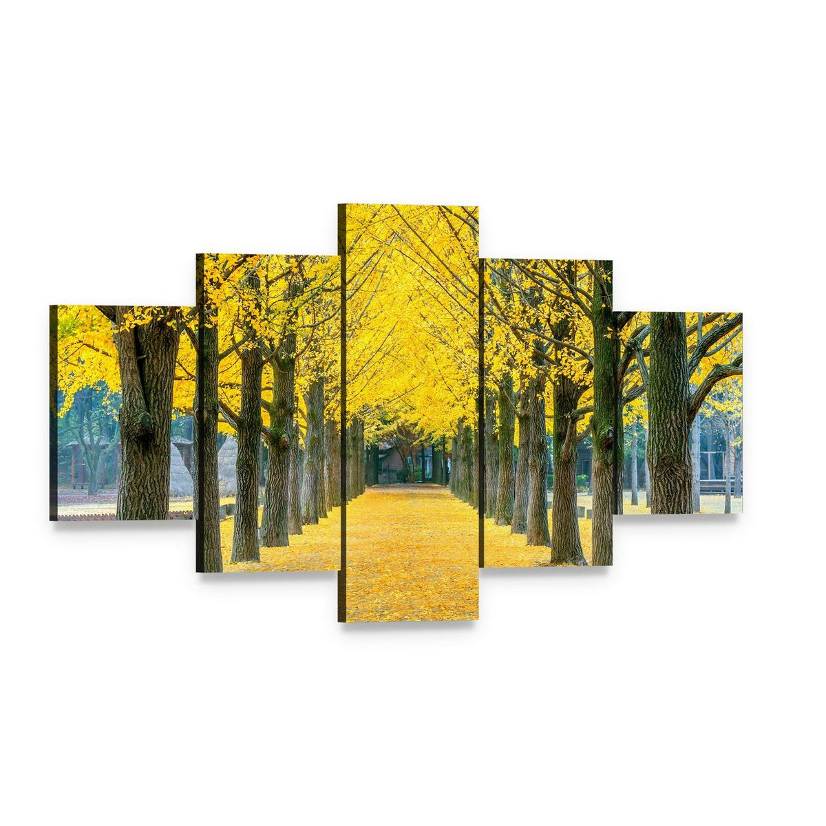 Ginkgo Trees on Nami Island Path Canvas Wall Art, 5 panel 5 Star layout gallery wrapped canvas set, angled product view