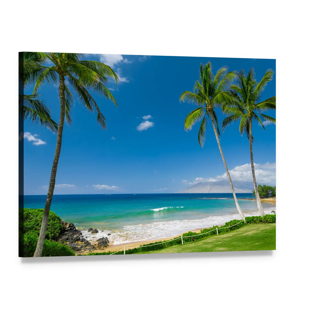 Tropical Beach with Palm Trees Canvas Wall Art, single panel gallery wrapped canvas, angled product view