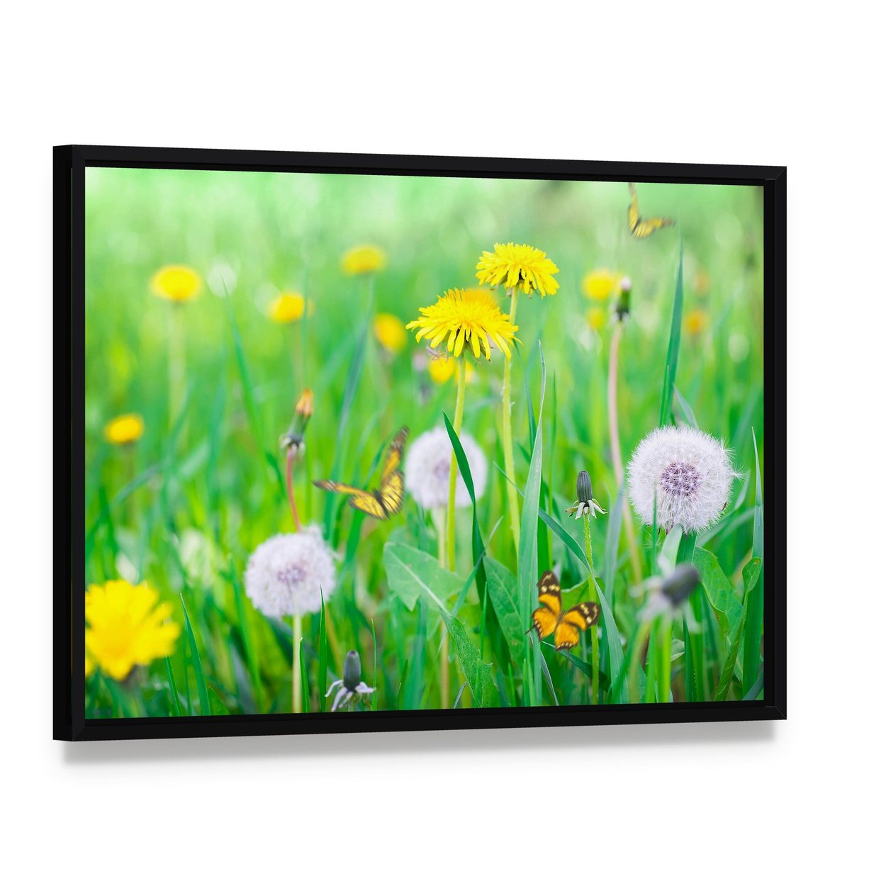 Air Dandelions on Green Field Canvas Wall Art, framed canvas in a black floater frame, angled product view