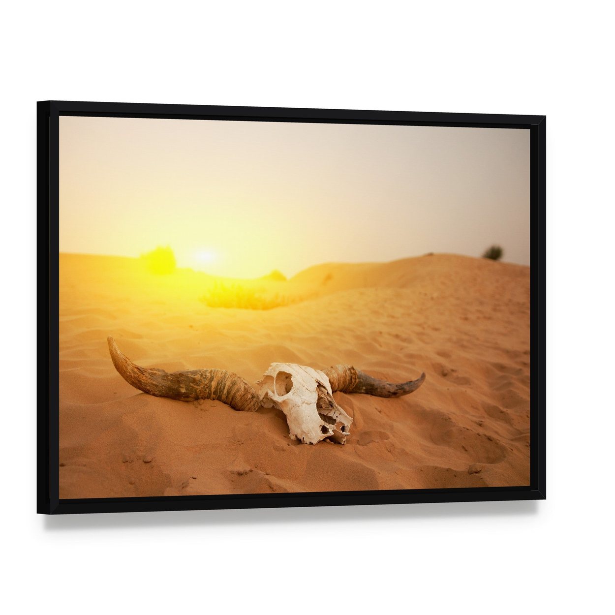 Bull Skull in Serene Desert Sunset Canvas Wall Art, framed canvas in a black floater frame, angled product view