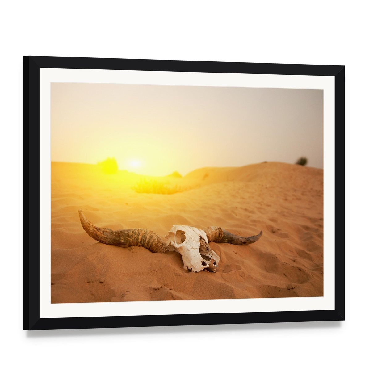 Bull Skull in Serene Desert Sunset Canvas Wall Art, framed print with white mat and black frame, angled product view