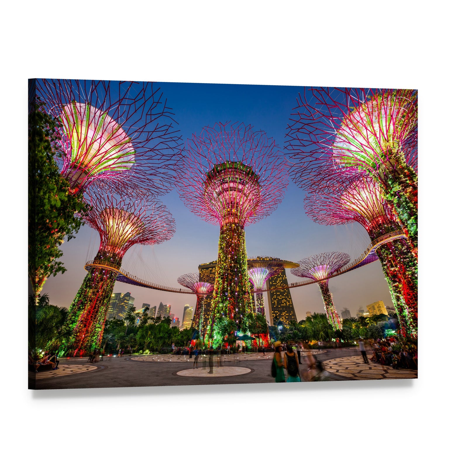 Supertree Grove at Gardens by the Bay Canvas Wall Art, single panel gallery wrapped canvas, angled product view