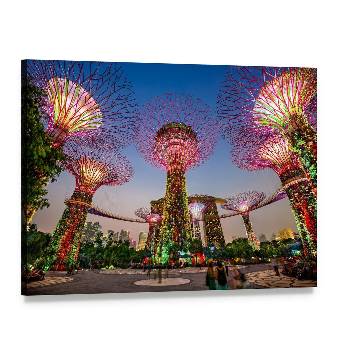 Supertree Grove at Gardens by the Bay Canvas Wall Art, single panel gallery wrapped canvas, angled product view