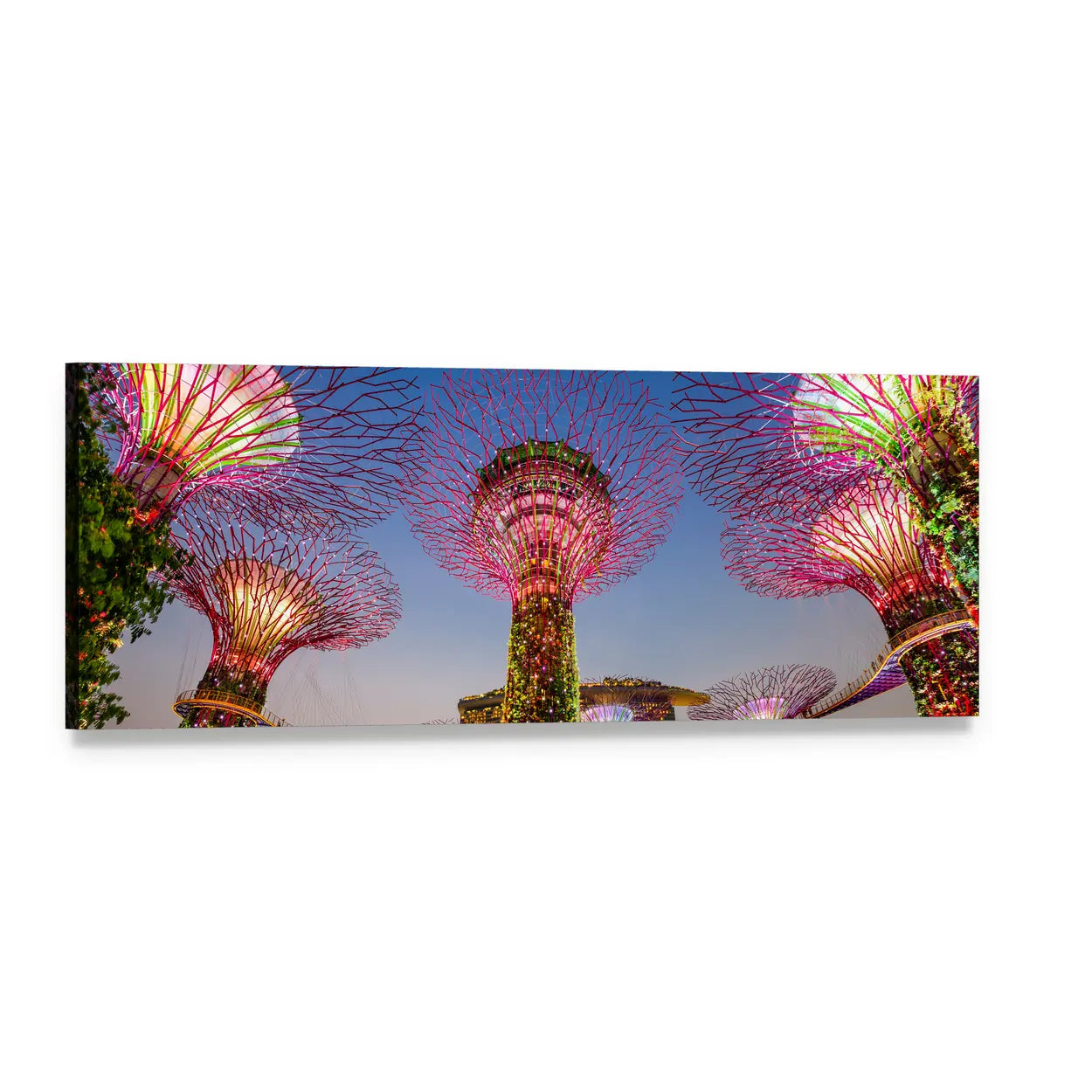 Supertree Grove at Gardens by the Bay Panoramic Canvas Wall Art, single panel gallery wrapped canvas, angled product view