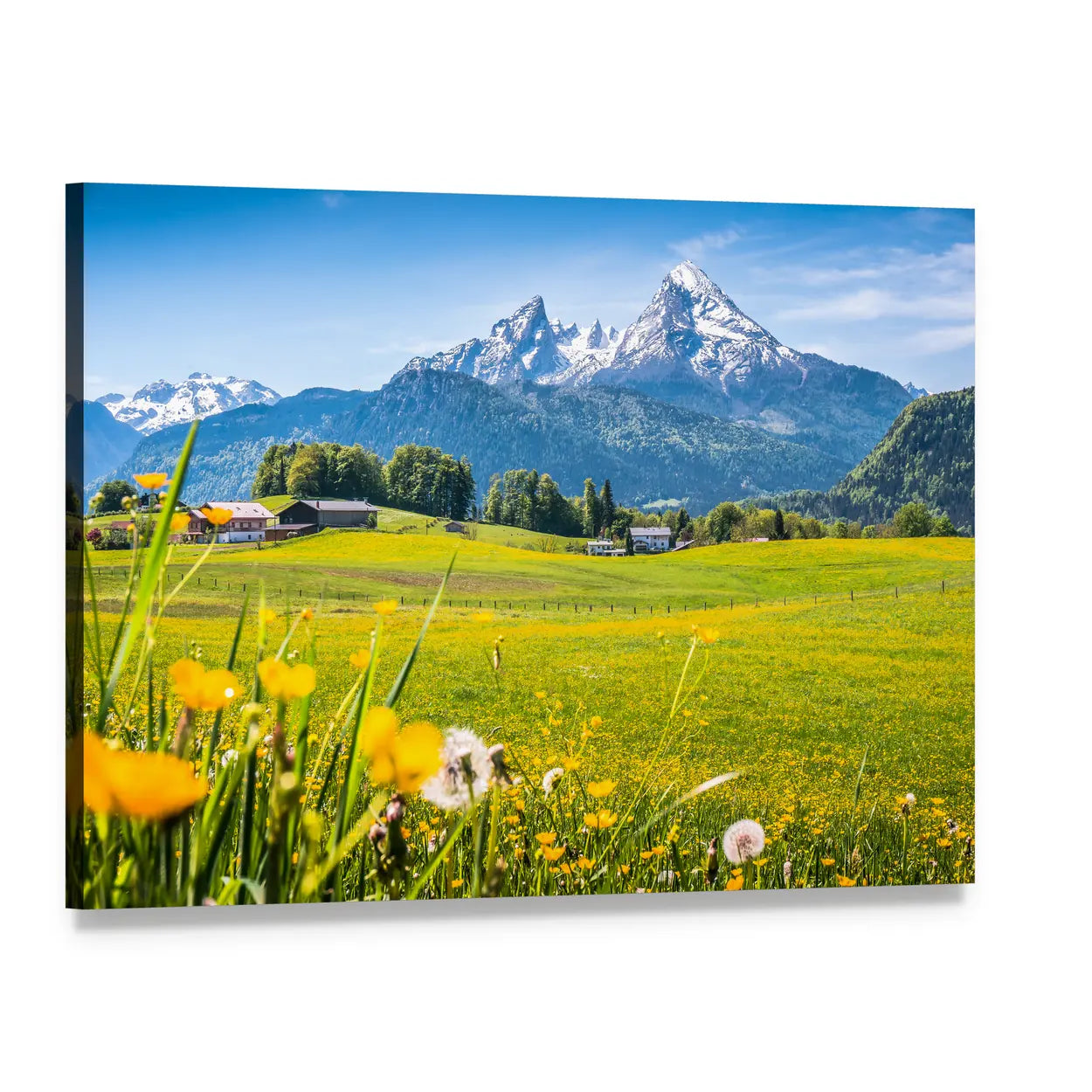 Alpine Meadow with Snow-capped Mountains Canvas Wall Art, single panel gallery wrapped canvas, angled product view