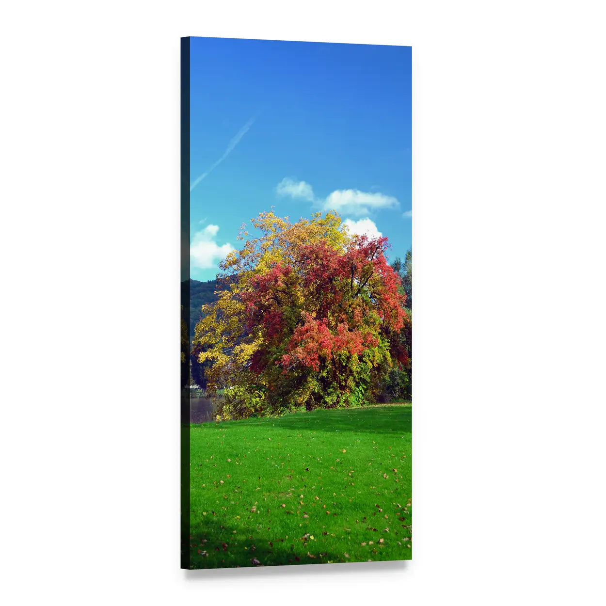 Autumn Field with Tree and Scattered Leaves Vertical Canvas Wall Art, 1 panel 1 Vertical layout gallery wrapped canvas set, angled product view