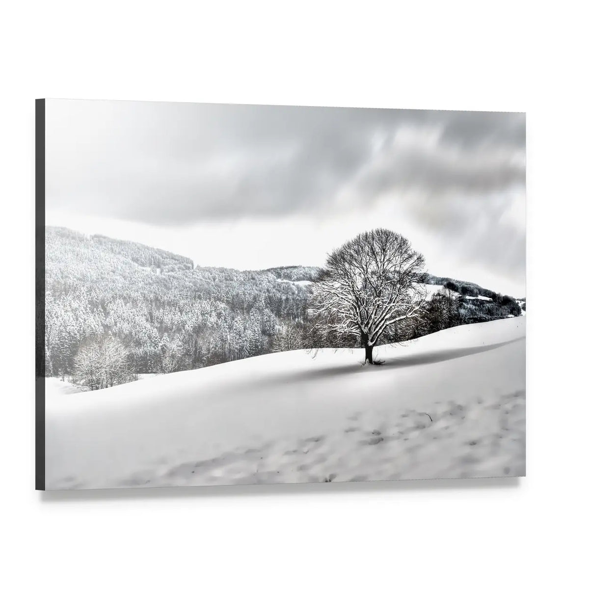 Lonely Tree in Snowy Landscape Canvas Wall Art, single panel gallery wrapped canvas, angled product view