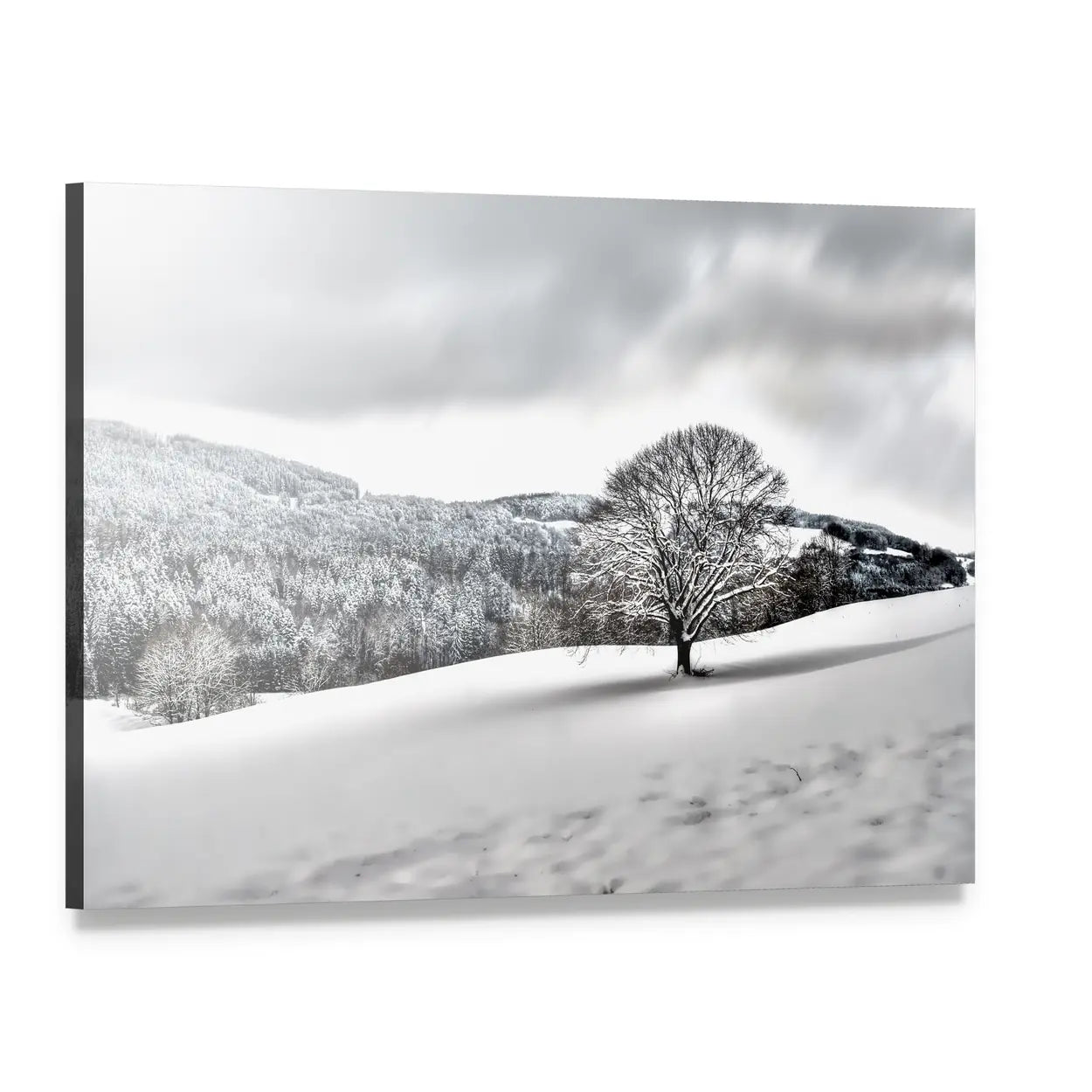 Lonely Tree in Snowy Landscape Canvas Wall Art, single panel gallery wrapped canvas, angled product view