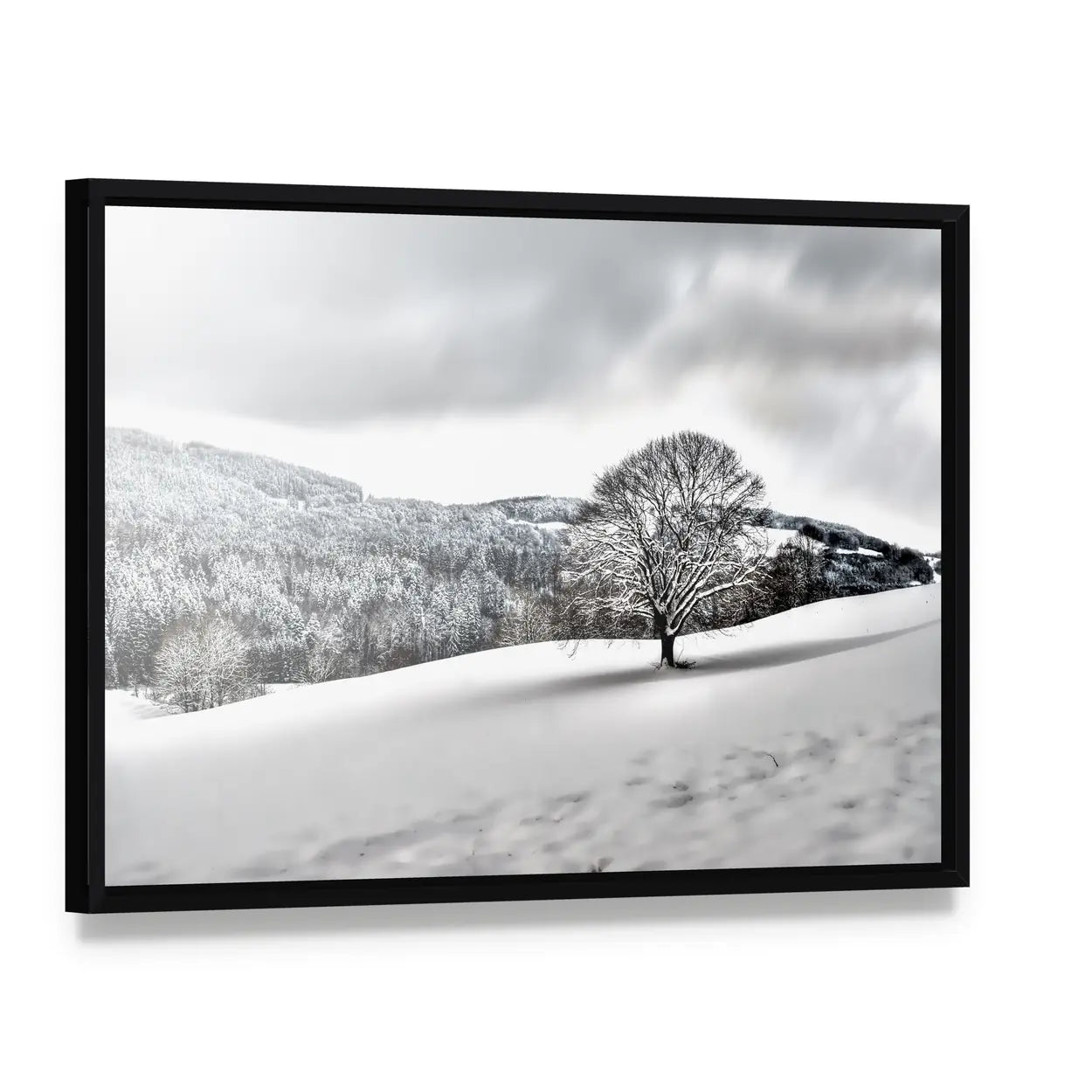 Lonely Tree in Snowy Landscape Canvas Wall Art, framed canvas in a black floater frame, angled product view