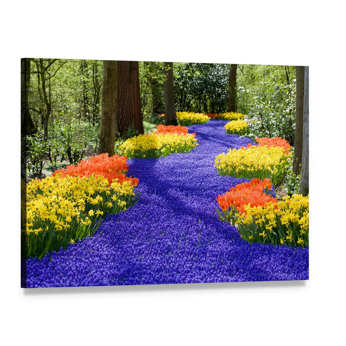 Field Of Spring Flowers Canvas Wall Art, single panel gallery wrapped canvas, angled product view