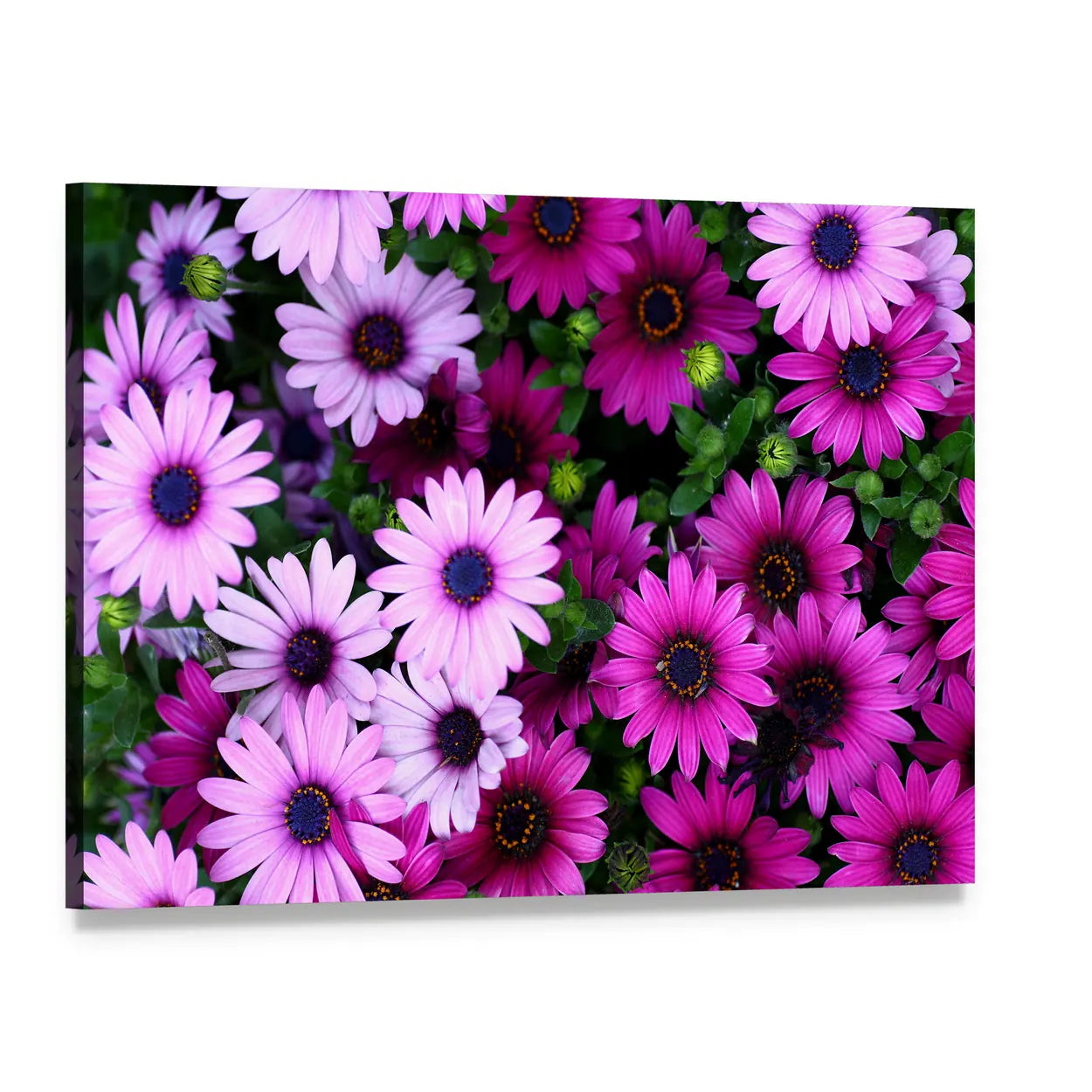 Flowers In The Garden Canvas Wall Art, single panel gallery wrapped canvas, angled product view