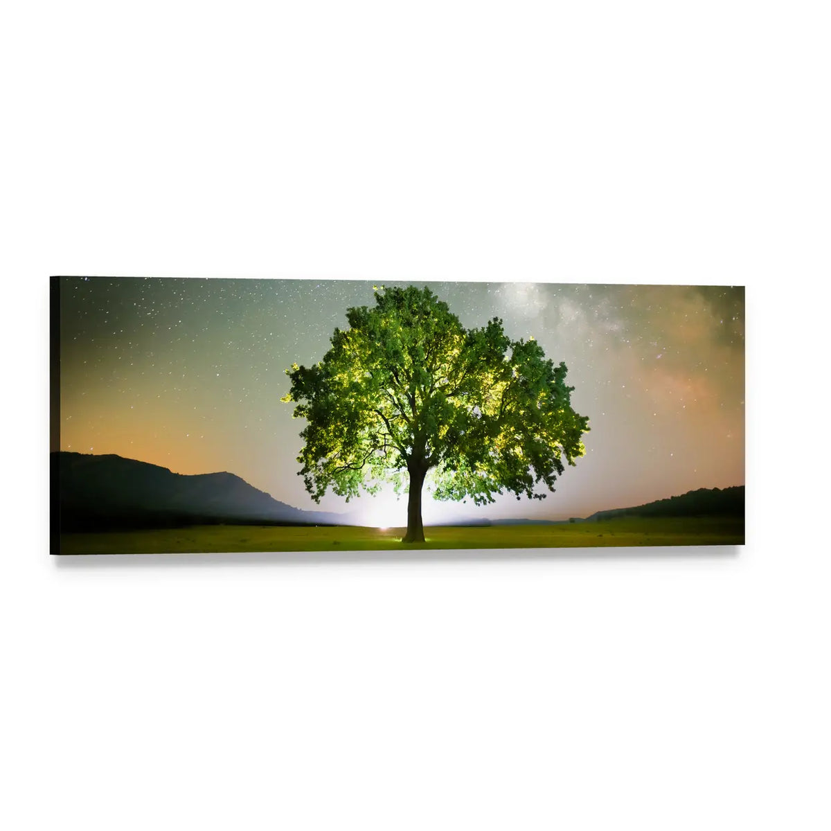 Lone Tree Under the Milky Way Panoramic Canvas Wall Art, single panel gallery wrapped canvas, angled product view