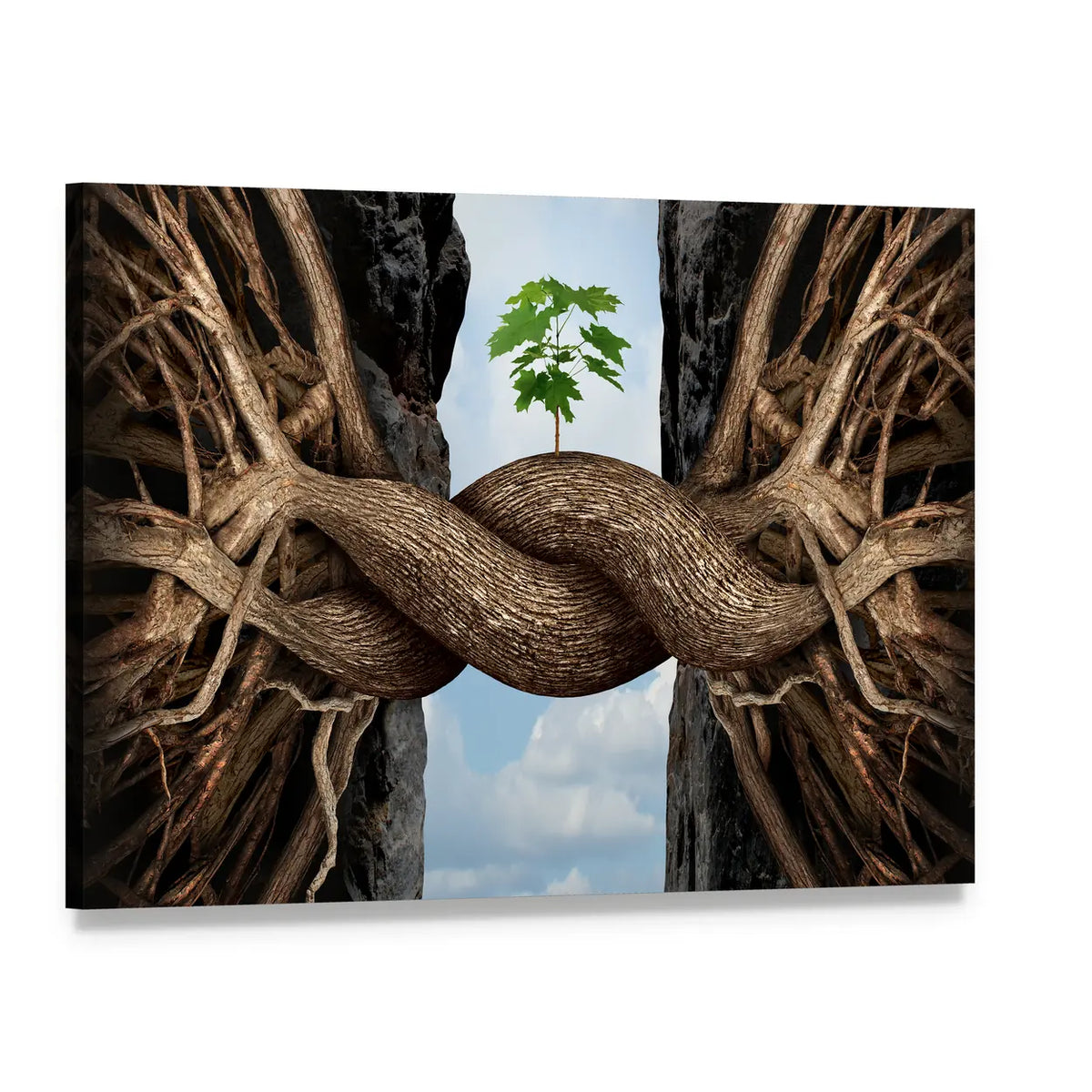 Roots Bridging a Chasm with Green Sapling Canvas Wall Art, single panel gallery wrapped canvas, angled product view