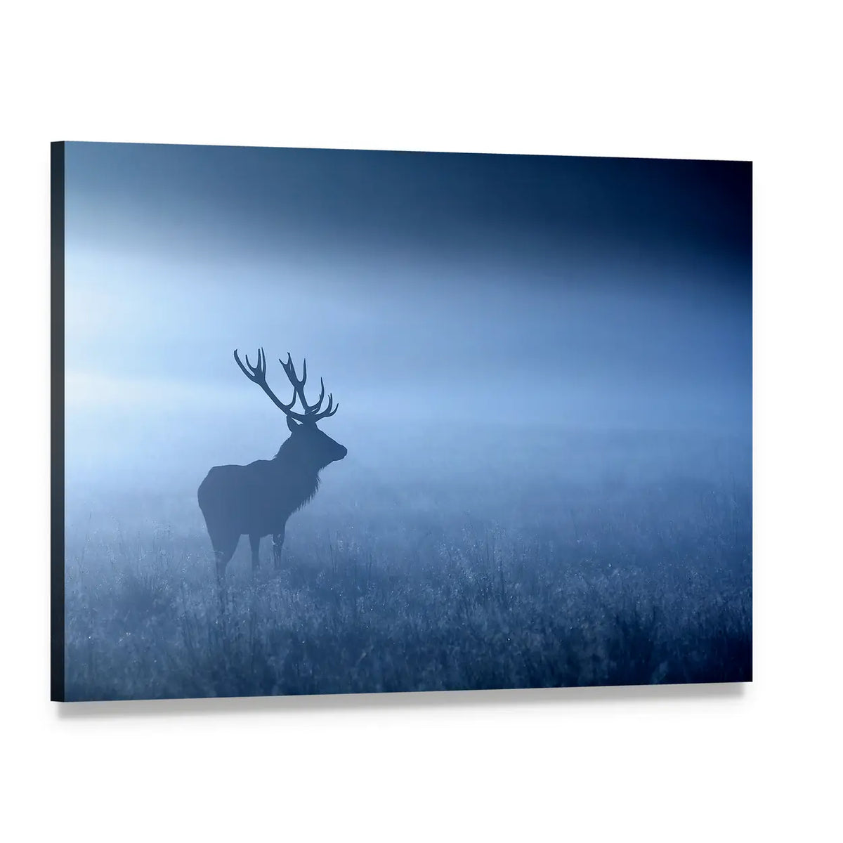 Stag Silhouette in Blue Fog Canvas Wall Art, single panel gallery wrapped canvas, angled product view