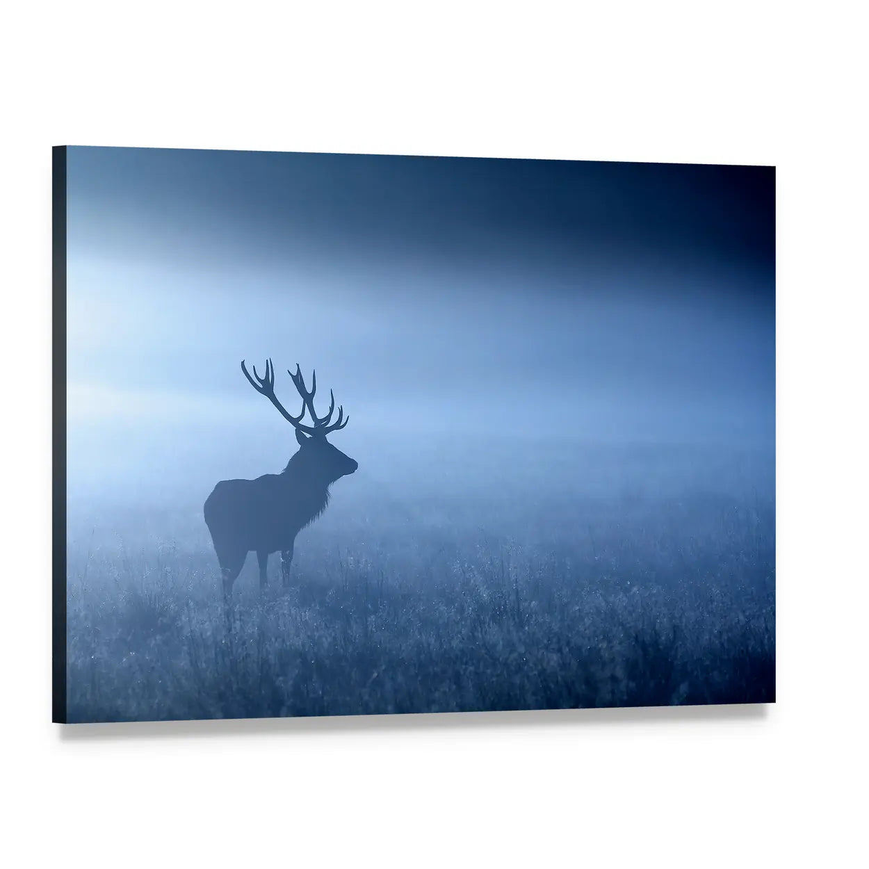 Stag Silhouette in Blue Fog Canvas Wall Art, single panel gallery wrapped canvas, angled product view