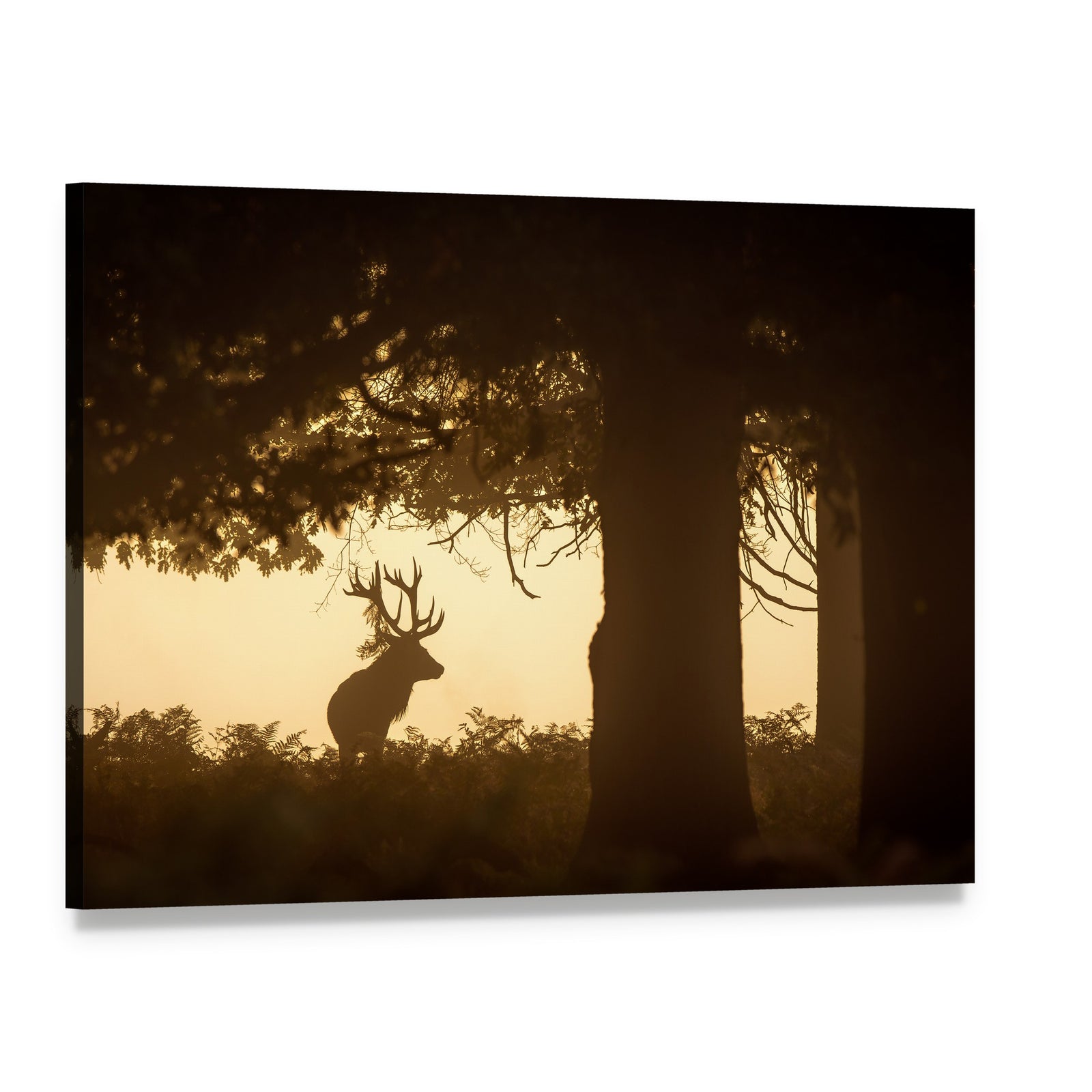 Deer Stag Silhouette Canvas Wall Art, single panel gallery wrapped canvas, angled product view