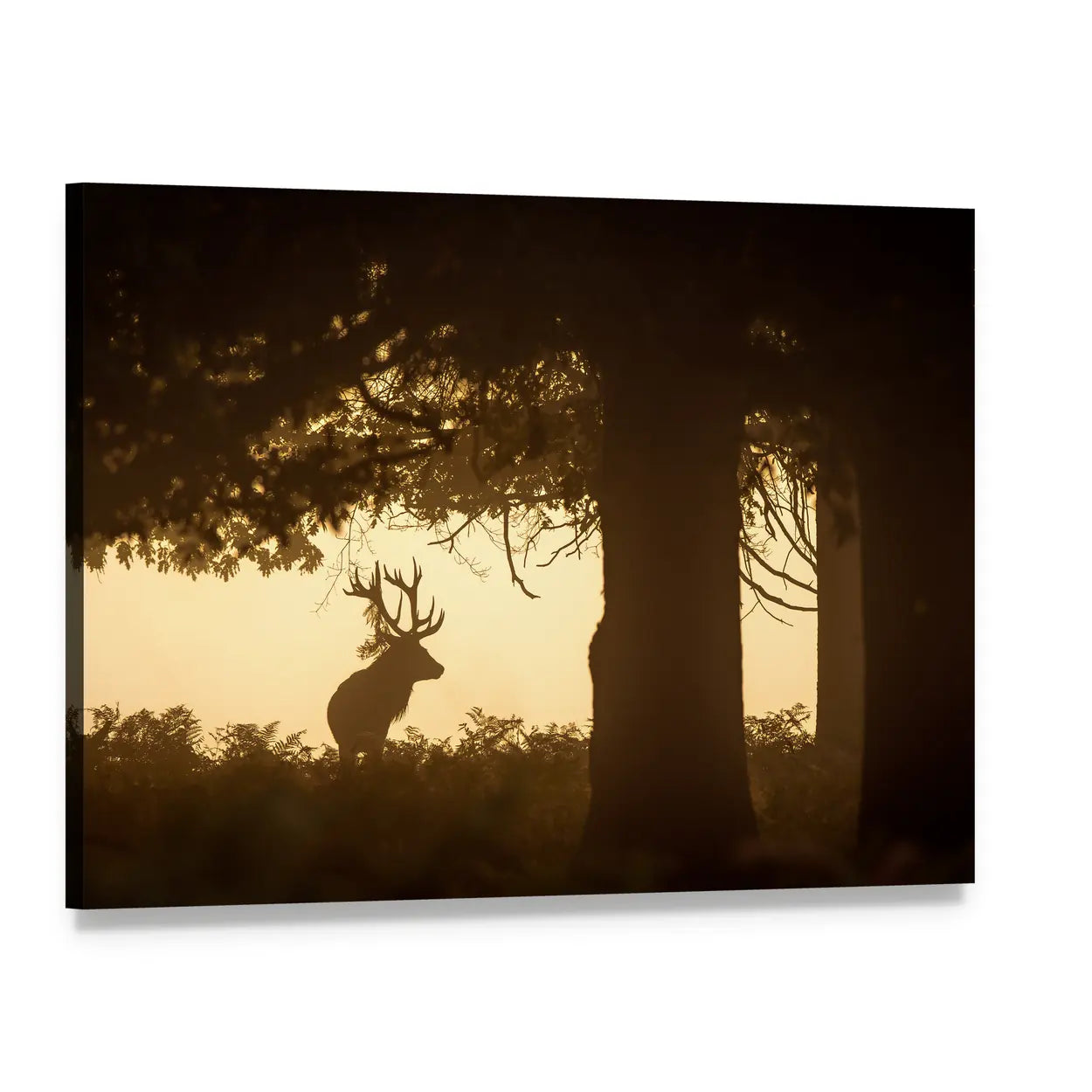 Golden Hour Stag Silhouette Canvas Wall Art, single panel gallery wrapped canvas, angled product view