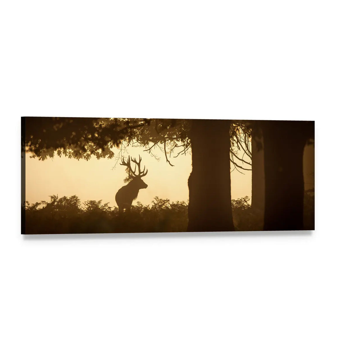 Stag Silhouette in Golden Light Panoramic Canvas Wall Art, single panel gallery wrapped canvas, angled product view