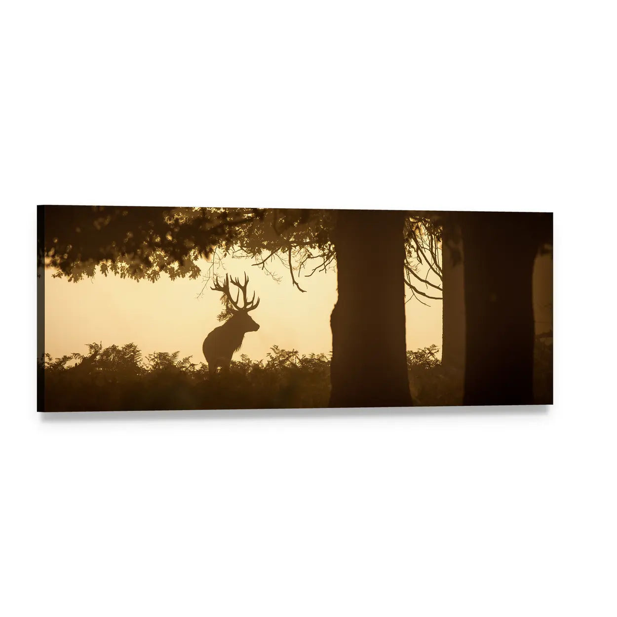 Stag Silhouette in Golden Light Panoramic Canvas Wall Art, single panel gallery wrapped canvas, angled product view