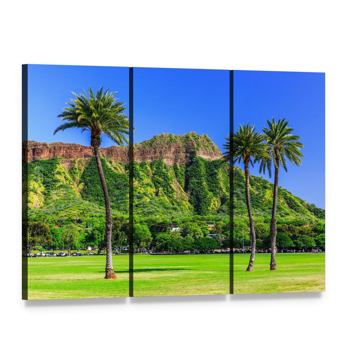 Diamond Head, Honolulu with Palm Trees Canvas Wall Art, 3 panel 3 Horizontal layout gallery wrapped canvas set, angled product view