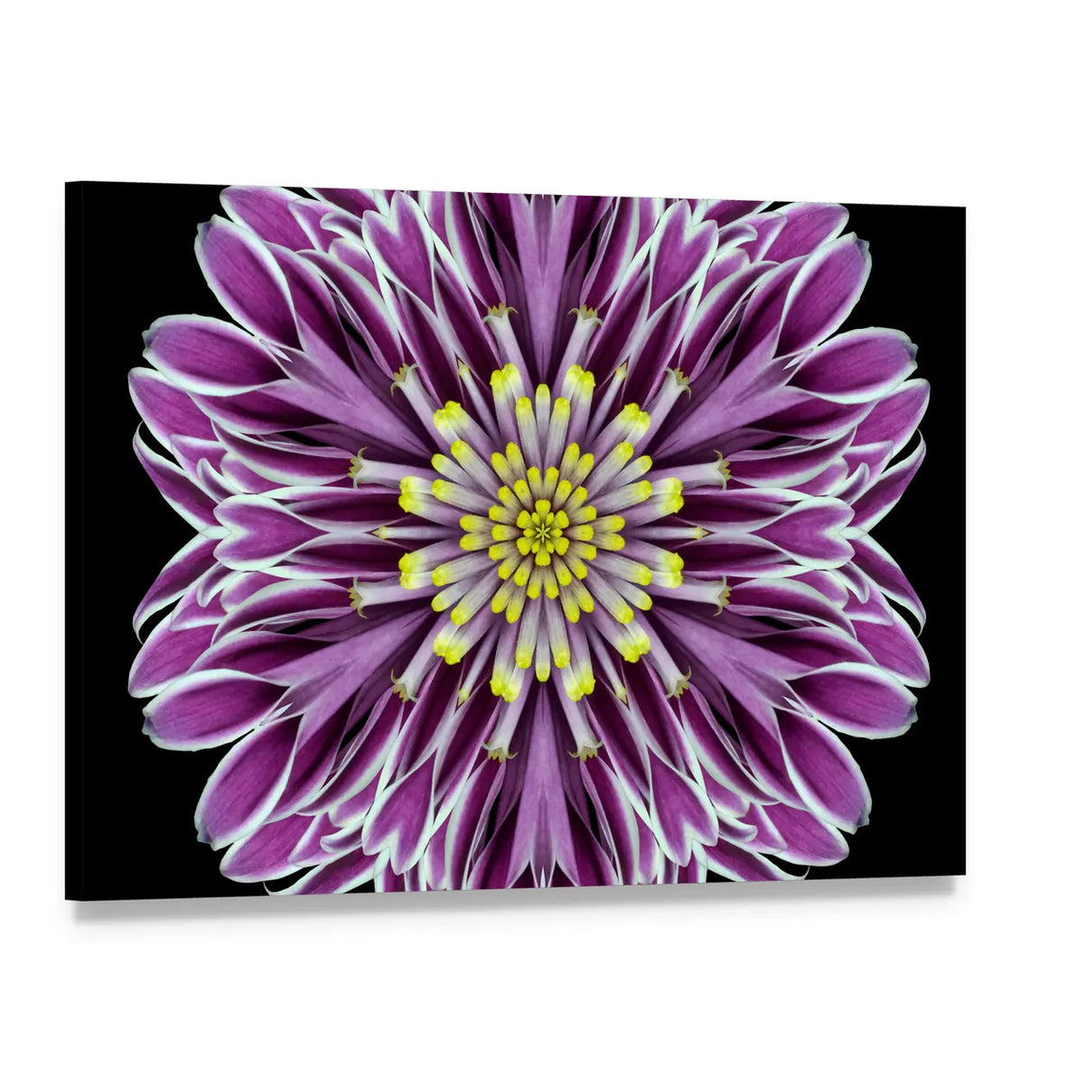 Scenic Purple Mandala Flower Canvas Wall Art, single panel gallery wrapped canvas, angled product view