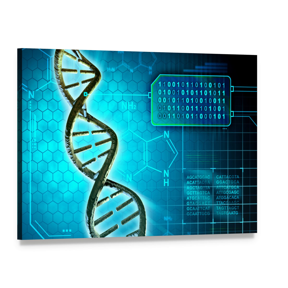 Dna Helix and Binary Code Canvas Wall Art, single panel gallery wrapped canvas, angled product view